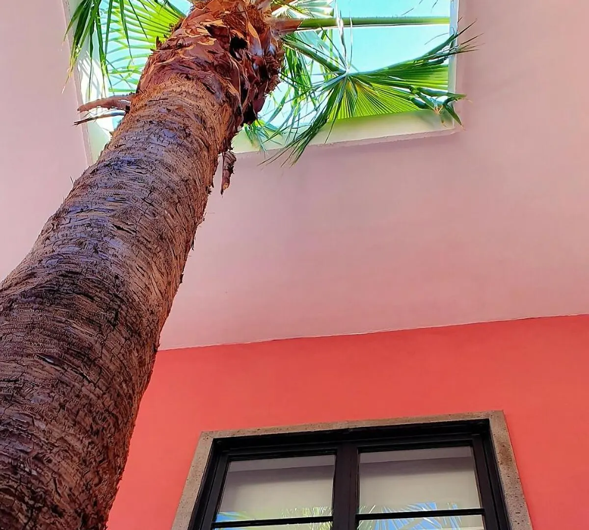 Tatil Evi Casa Venus Villa Mazatlan